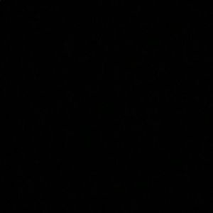 Meet your Posher, Max